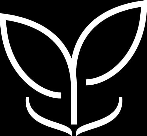 logo tinklaik